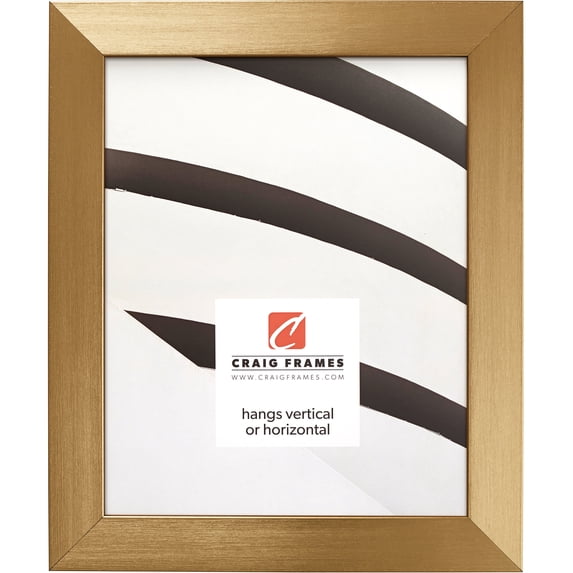 Craig Frames Modern Aesthetics 125, 14x22 inch Picture Frame, Gold