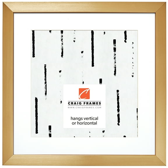Craig Frames Modern Aesthetics 125, 16x16 inch Picture Frame Matted for a 12x12 Photo, Gold