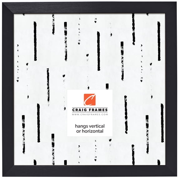 Craig Frames Modern Aesthetics 125, 20x20 inch Picture Frame, Black
