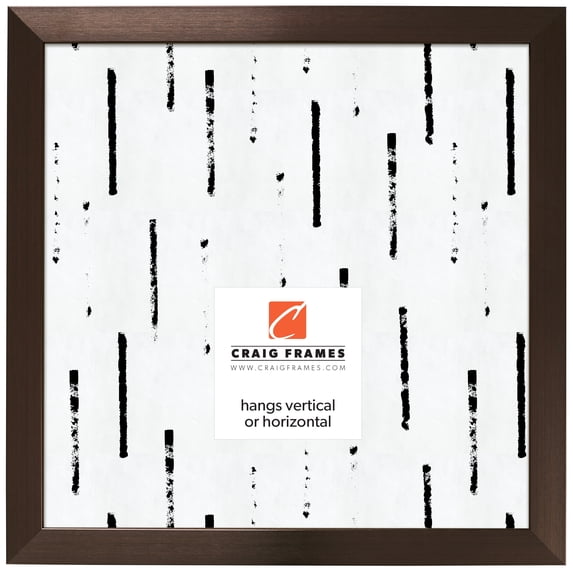Craig Frames Modern Aesthetics 125, 20x20 inch Picture Frame, Bronze