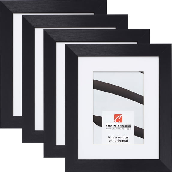 Craig Frames Modern Aesthetics 125, 20x24 inch Picture Frame Matted for a 16x20 Photo, Black, Set of 4