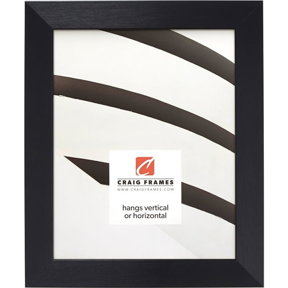 Craig Frames Modern Aesthetics 125, 20x26 inch Picture Frame, Black