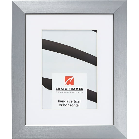 Craig Frames Modern Aesthetics 125, 22x28 inch Picture Frame Matted for a 18x24 Photo, Silver