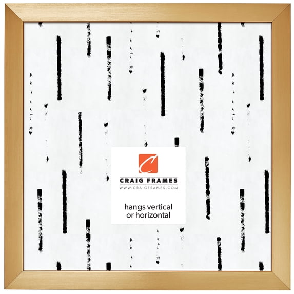 Craig Frames Modern Aesthetics 125, 24x24 inch Picture Frame, Gold