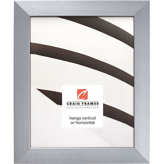 Craig Frames Modern Aesthetics 125, 24x30 inch Picture Frame, Silver