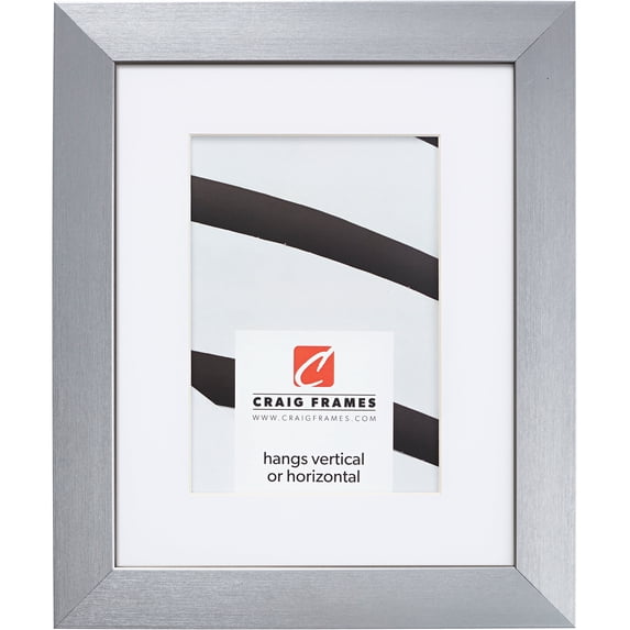 Craig Frames Modern Aesthetics 125, 24x36 inch Picture Frame Matted for a 20x30 Photo, Silver