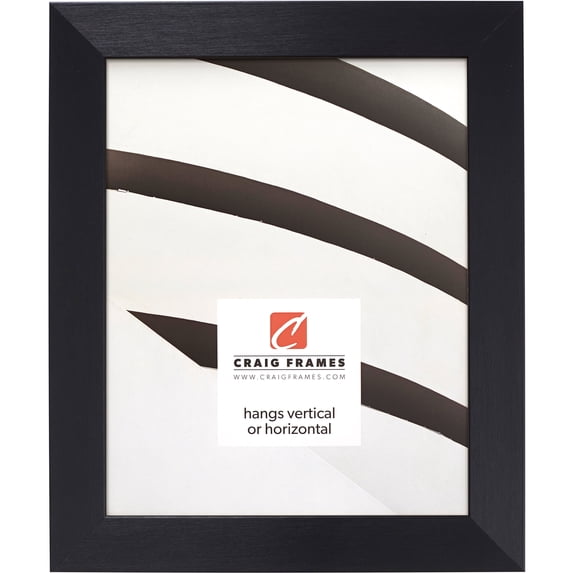 Craig Frames Modern Aesthetics 125, 8x10 inch Picture Frame, Black