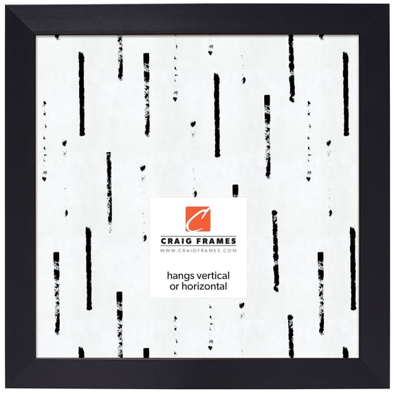 Craig Frames Modern Aesthetics 150, 12x12 inch Picture Frame, Black