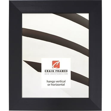 Craig Frames Modern Aesthetics 150, 12x18 inch Picture Frame, Black
