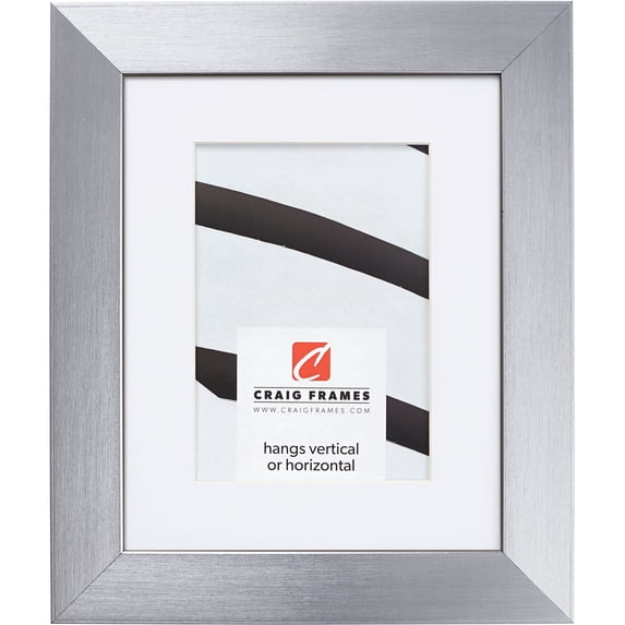 Craig Frames Modern Aesthetics 150, 18x24 inch Picture Frame Matted for a 12x18 Photo, Silver