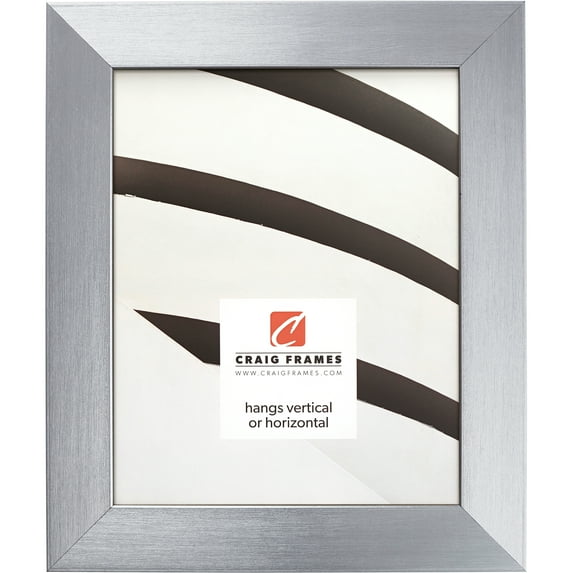 Craig Frames Modern Aesthetics 150, 19x25 inch Picture Frame, Silver