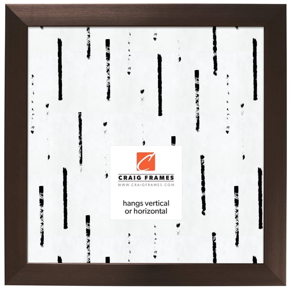 Craig Frames Modern Aesthetics 150, 20x20 inch Picture Frame, Bronze