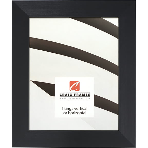 Craig Frames Modern Aesthetics 150, 20x30 inch Picture Frame, Black