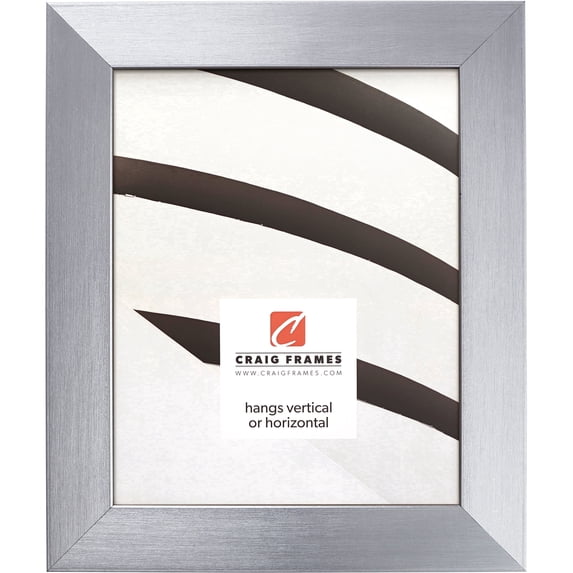 Craig Frames Modern Aesthetics 150, 24x36 inch Picture Frame, Silver