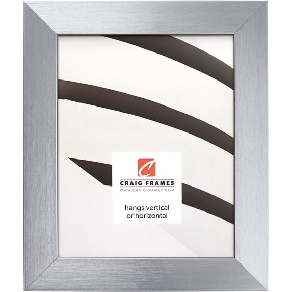 Craig Frames Modern Aesthetics 150, 4x10 inch Picture Frame, Silver