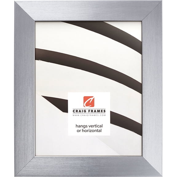 Craig Frames Modern Aesthetics 150, 5x7 inch Picture Frame, Silver