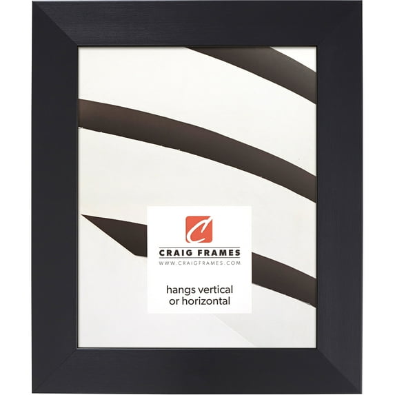 Craig Frames Modern Aesthetics 150, 8x10 inch Picture Frame, Black