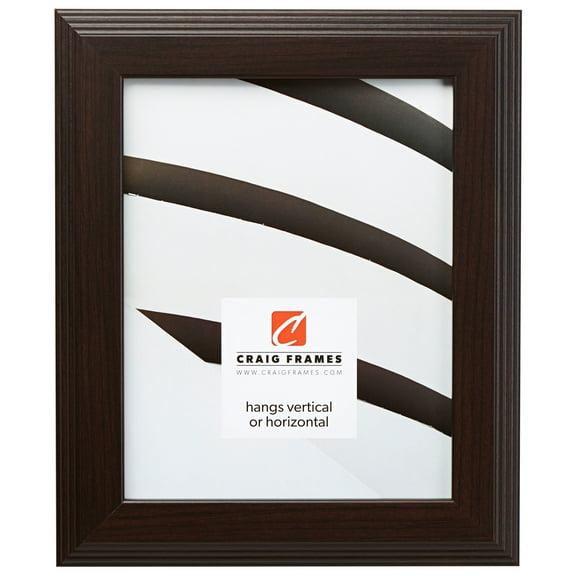 Craig Frames Mossehaus, 16x20 inch Picture Frame, Contemporary Dark Brown