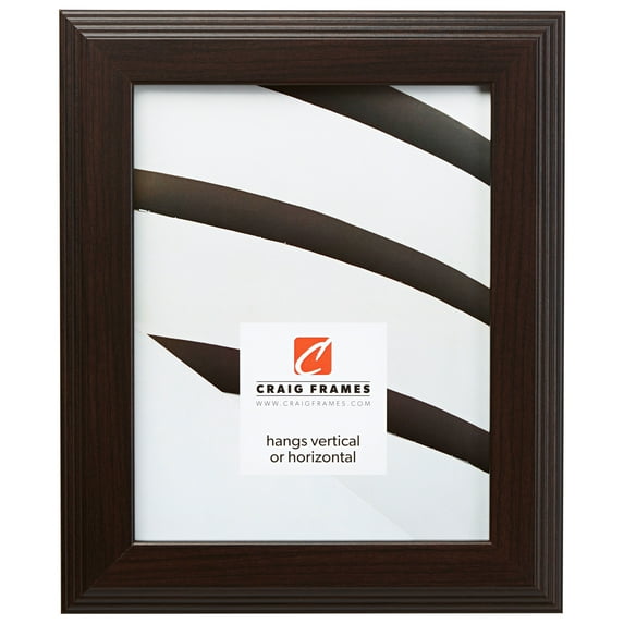 Craig Frames Mossehaus, 16x24 inch Picture Frame, Contemporary Dark Brown