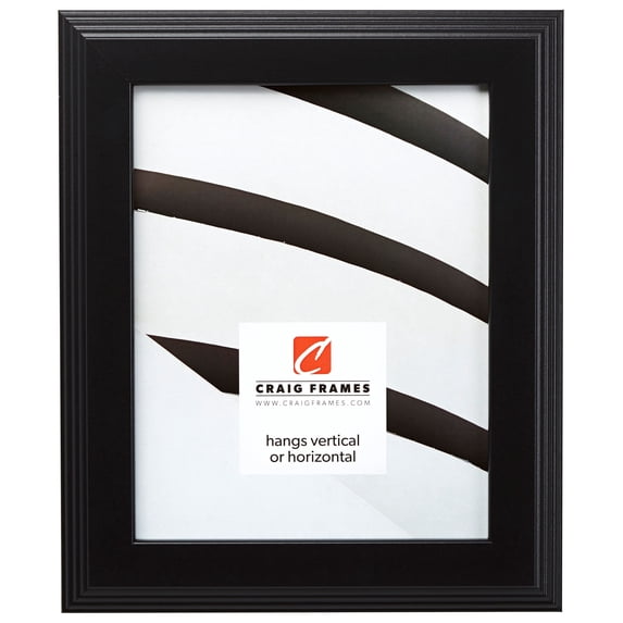 Craig Frames Mossehaus, 18x36 inch Picture Frame, Contemporary Black