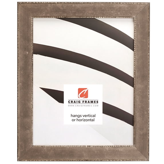Craig Frames Patina 125, 16x22 inch Picture Frame, Silver and Black