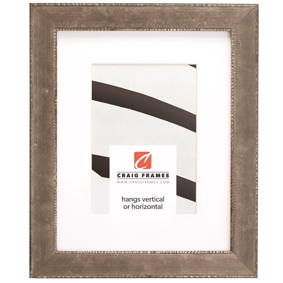 Craig Frames Patina 125, 20x24 inch Silver and Black Picture Frame Matted for a 16x20 Photo