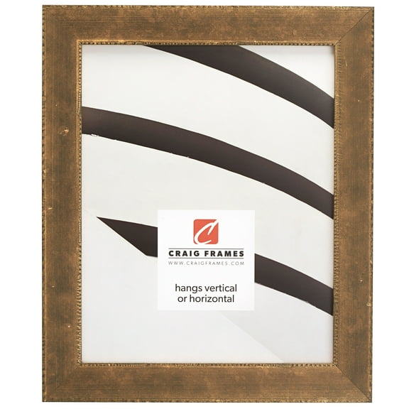 Craig Frames Patina 125, 20x30 inch Picture Frame, Copper and Black