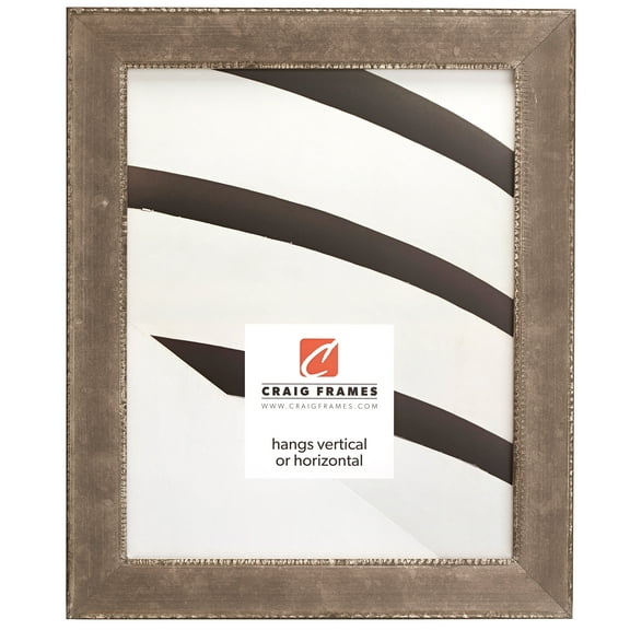 Craig Frames Patina 125, 22x28 inch Picture Frame, Silver and Black