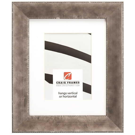 Craig Frames Patina 175, 19x25 inch Silver and Black Picture Frame Matted for a 14x20 Photo
