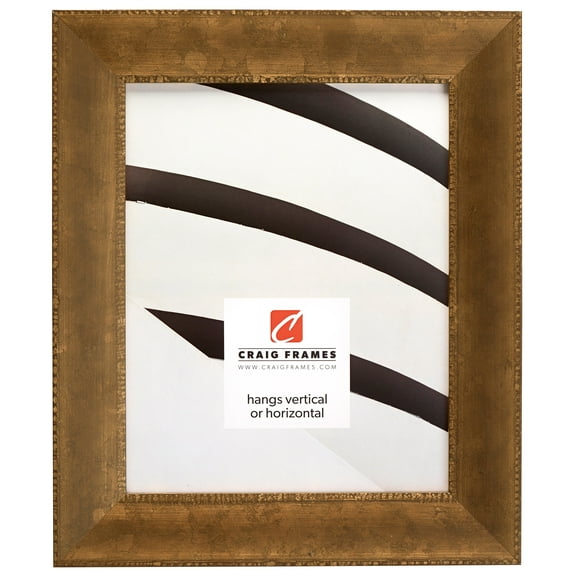 Craig Frames Patina 175, 20x24 inch Picture Frame, Copper and Black