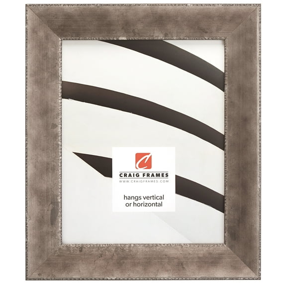 Craig Frames Patina 175, 20x30 inch Picture Frame, Silver and Black