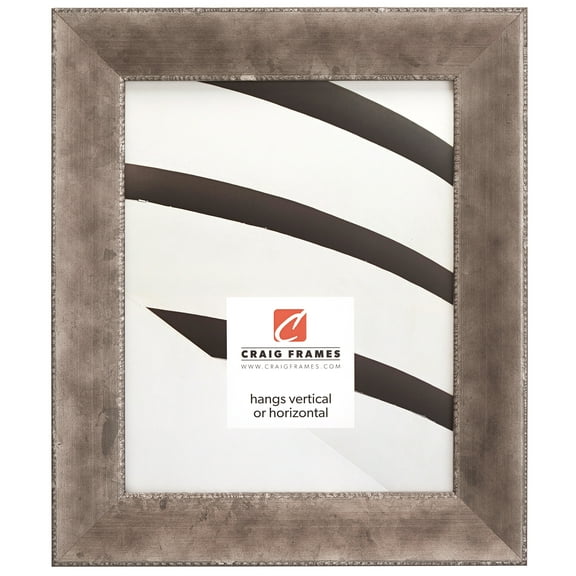 Craig Frames Patina 175, 24x36 inch Picture Frame, Silver and Black