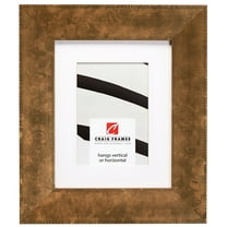 Craig Frames Patina 225, 20x26 inch Copper and Black Picture Frame Matted for a 16x22 Photo