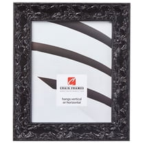 Craig Frames Renaissance, 20x26 inch Picture Frame, Ornate Obsidian Black