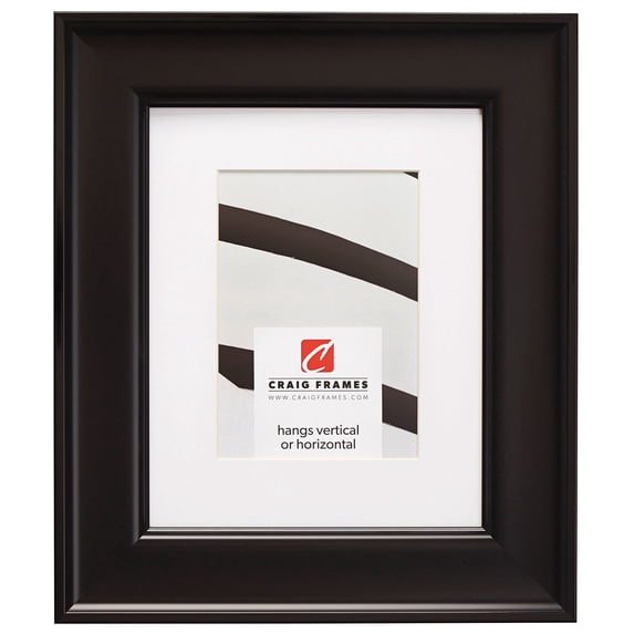 Craig Frames Resilience, 19x25 inch Black Picture Frame Matted for a 14x20 Photo
