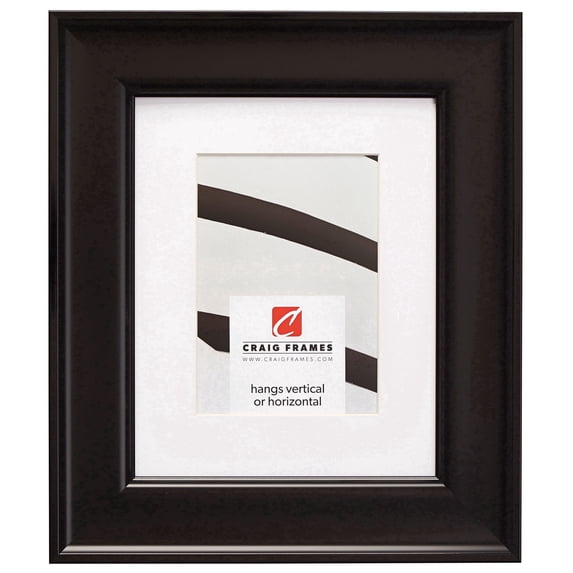 Craig Frames Resilience, 20x26 inch Black Picture Frame Matted for a 16x22 Photo
