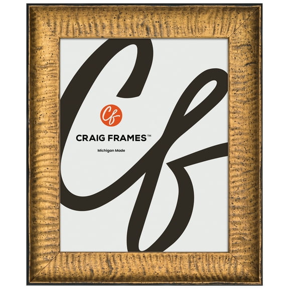 Craig Frames Safari, 11x16 Picture Frame, Gold