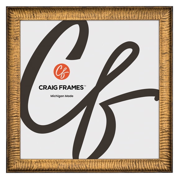 Craig Frames Safari, 17x17 Picture Frame, Gold