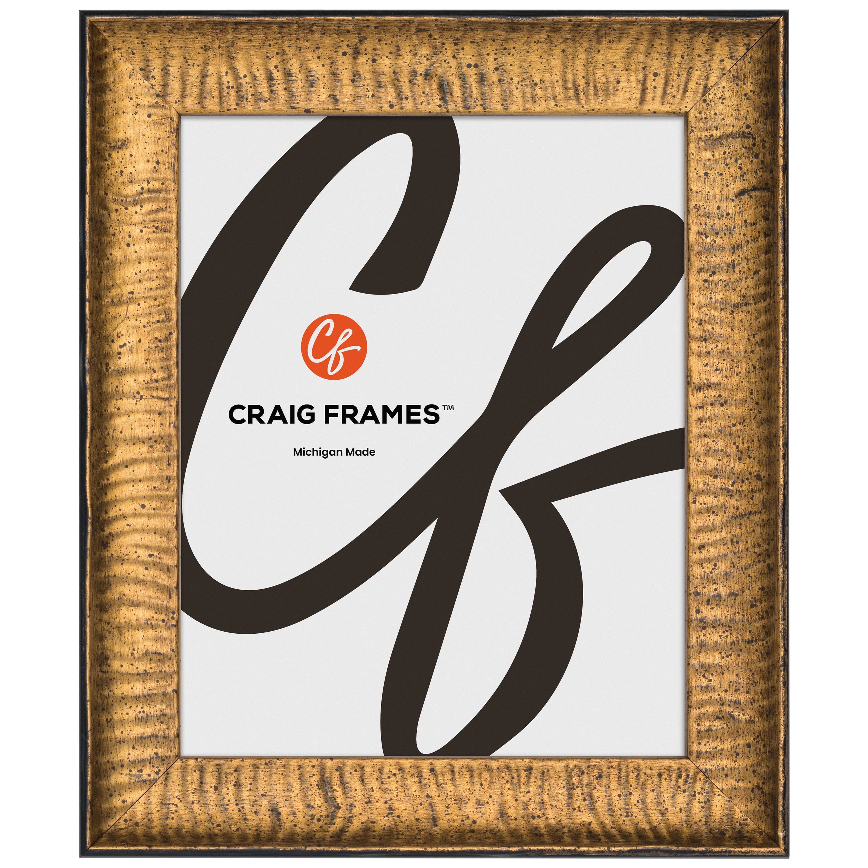 Craig Frames Safari, 18x24 Picture Frame, Gold