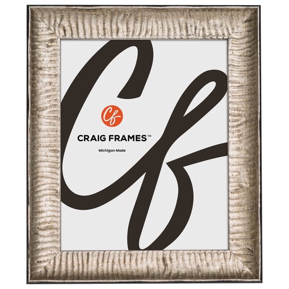 Craig Frames Safari, 18x36 Picture Frame, Silver