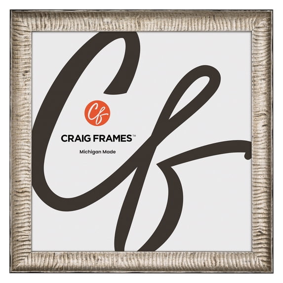 Craig Frames Safari, 20x20 Picture Frame, Silver
