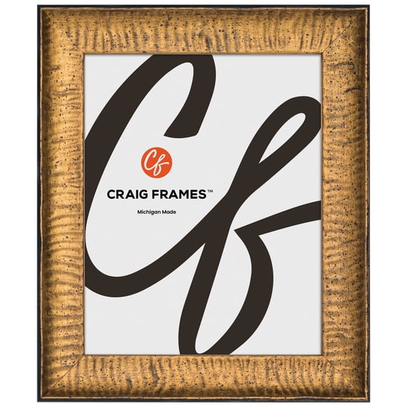 Craig Frames Safari, 20x26 Picture Frame, Gold