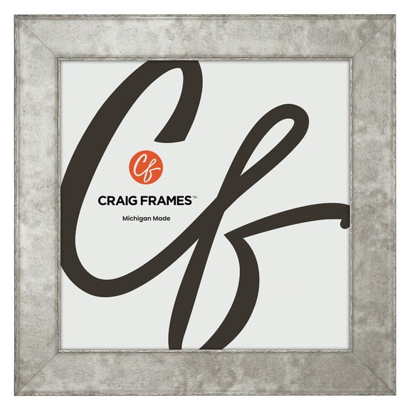 Craig Frames Starlight, 20x20 Picture Frame, Silver