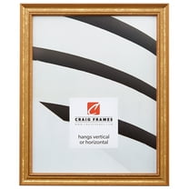 Craig Frames Stratton, 5x7 inch Picture Frame, Aged Gold