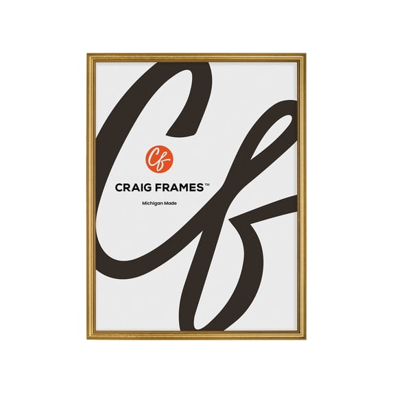 Craig Frames Stratton Aged Gold Queen Ann Picture Frame