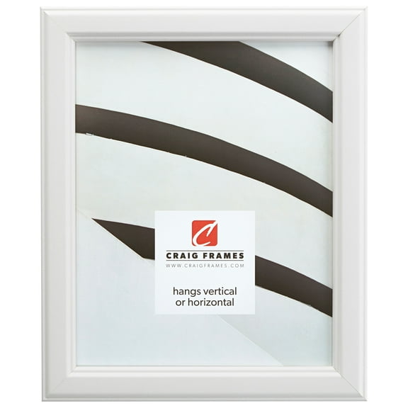 Craig Frames Tulip Poplar, 8.5x11 inch Picture Frame, White