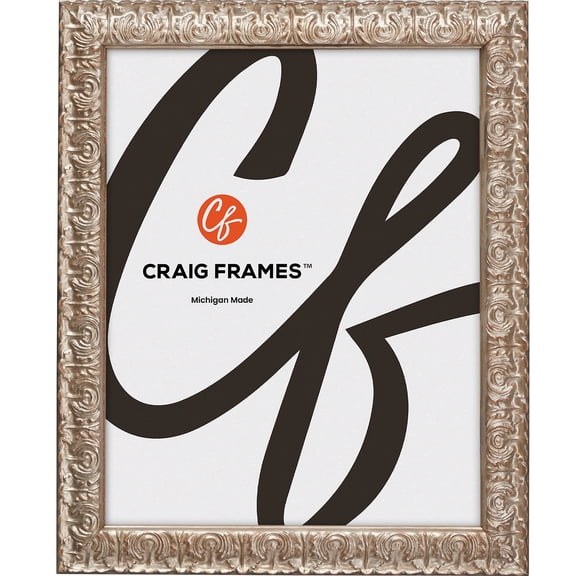 Craig Frames Versailles, 26x30 inch Picture Frame, Silver