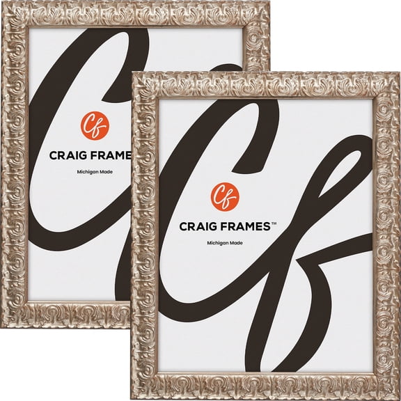 Craig Frames Versailles, 8.5x11 inch Picture Frame, Silver, Set of 2