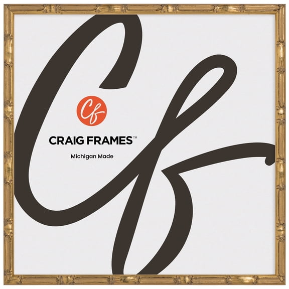 Craig Frames Vintage Champagne Gold Bamboo Composite Picture Frame, 12 x 12 Inch