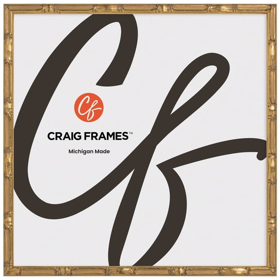 Craig Frames Vintage Champagne Gold Bamboo Composite Picture Frame, 18 x 18 Inch